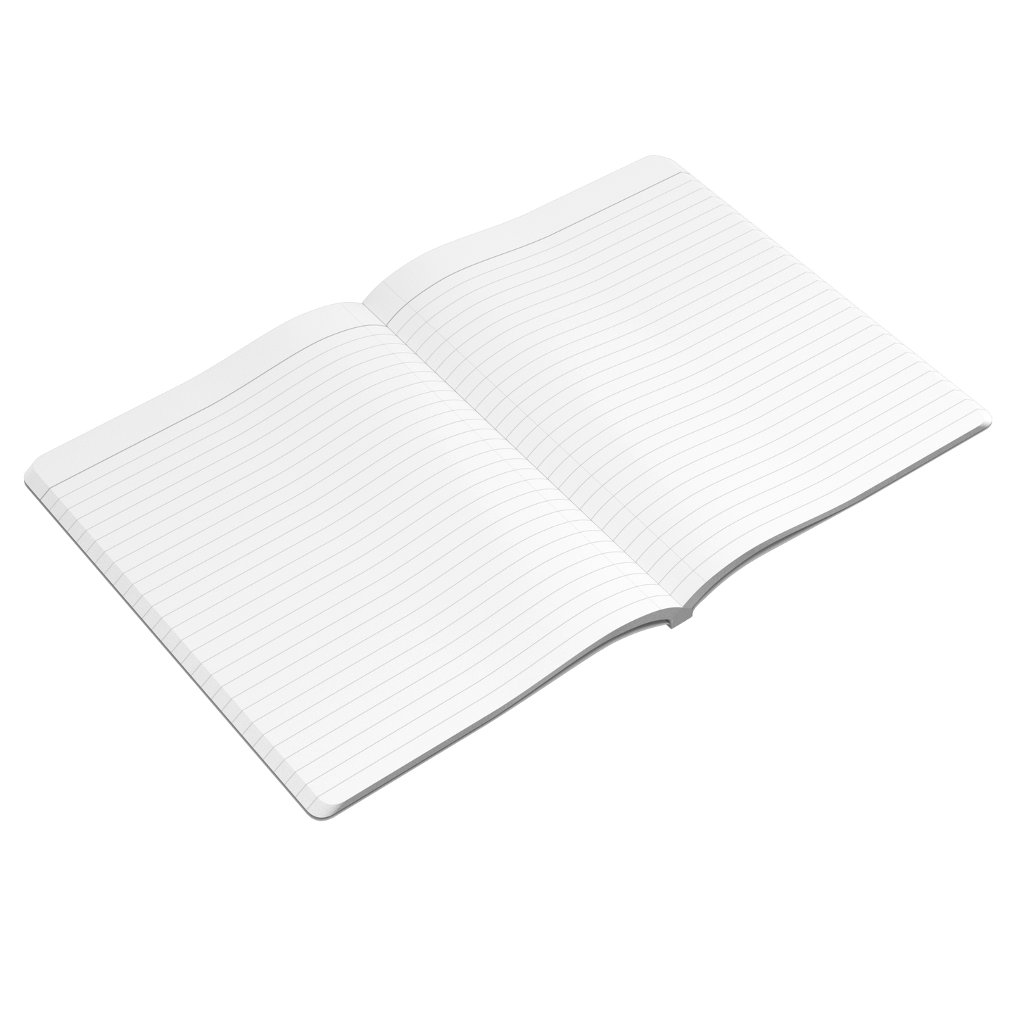 Class of 2026 Journal
